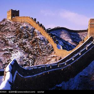 欧美裸体熟女与公猪相交图片
