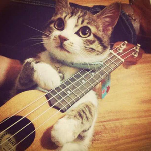 欧美裸体熟女与公猪相交图片
