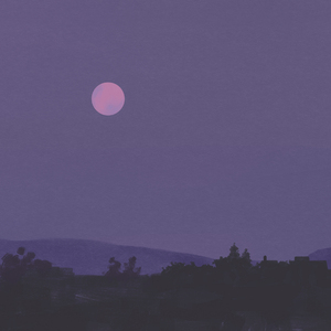 欧美裸体熟女与公猪相交图片
